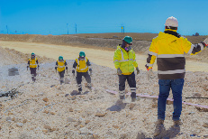 Control de Operaciones